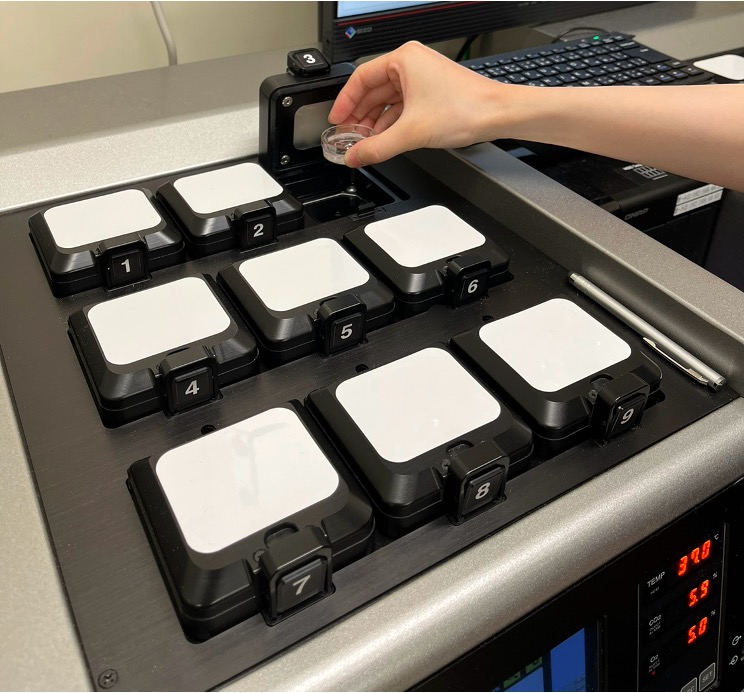 タイムラプスインキュベーターのモニター画面