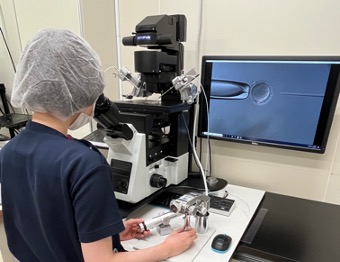 顕微授精の様子